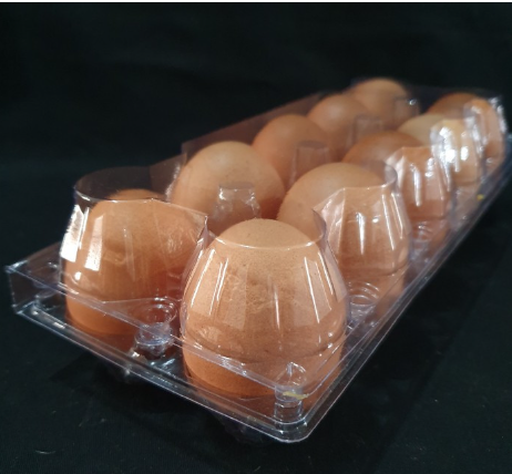 SS Tray Telur Egg Tray isi 10 Kancing