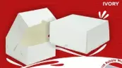 MIT AP 310gr 15.5x12x6.5cm Ivory